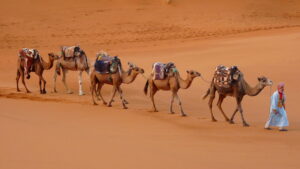tour por el desierto marruecos