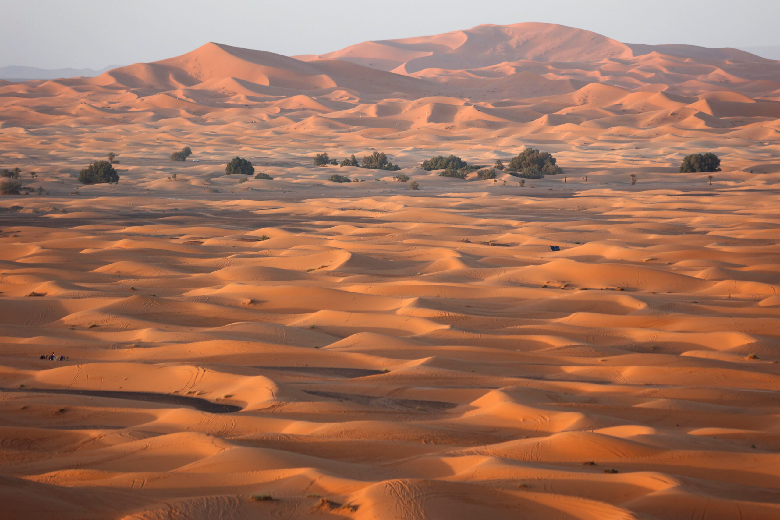 tour por el desierto marruecos.