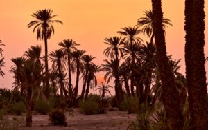 Tour de 15 Días Desde Casablanca