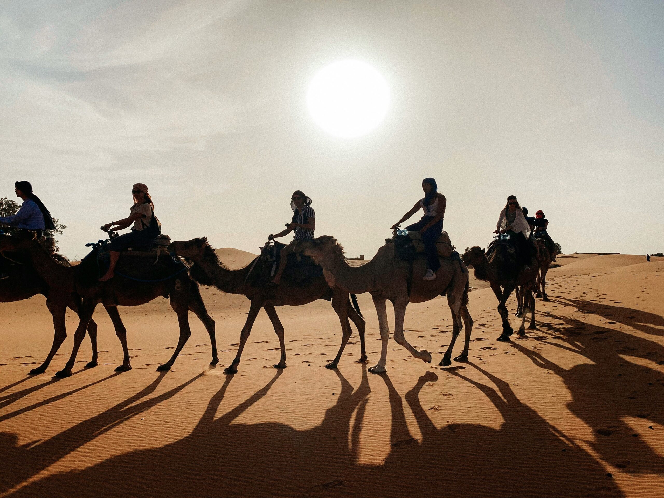 Tours – 4 dias desde marrakech ver ouarzazate y oasis Desierto