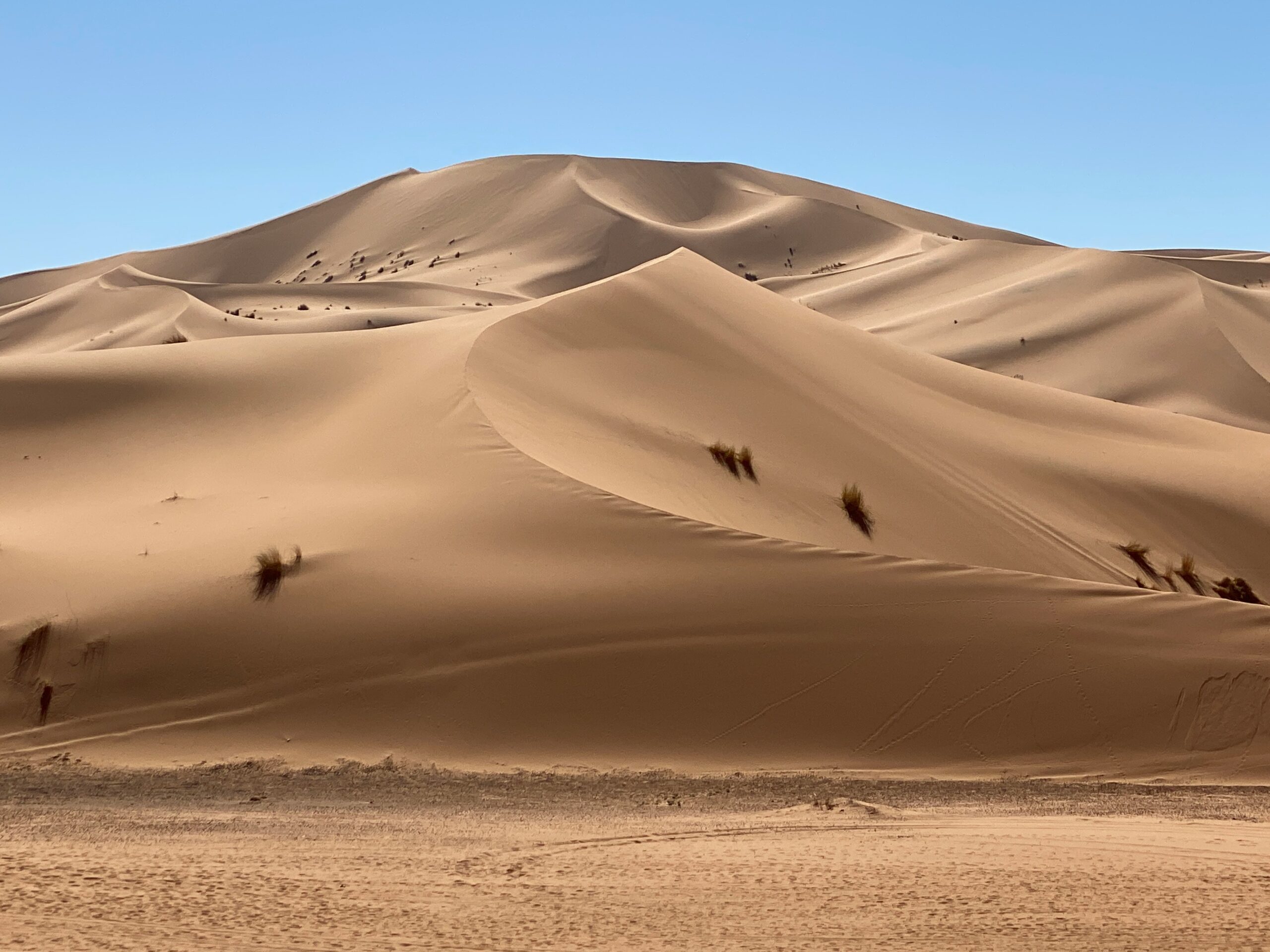 Tours – Al Desierto de Dunas en 3 Dias Desde Marrakech