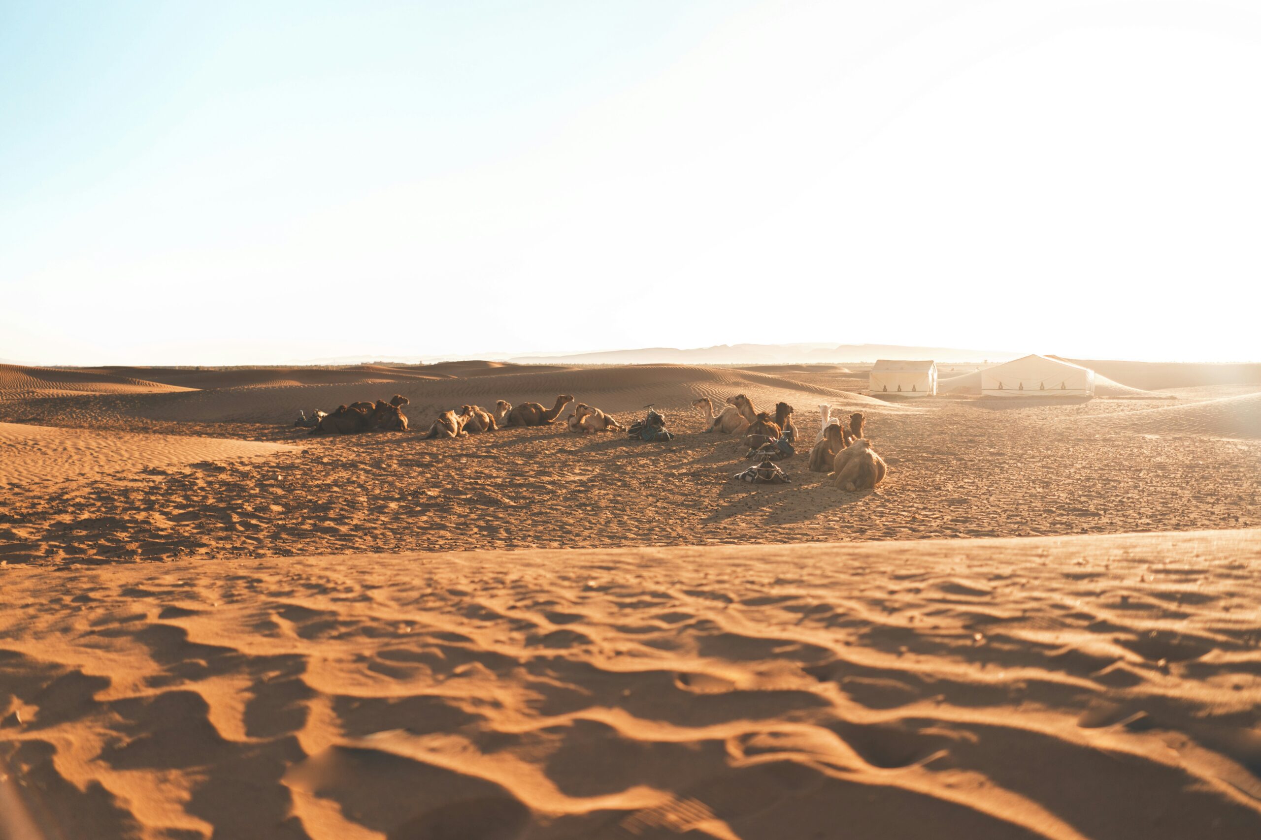 Tours – Al Desierto Zagora 2 días Una Noche