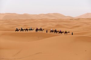 excursion el sahara