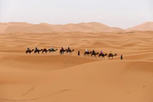excursion el sahara
