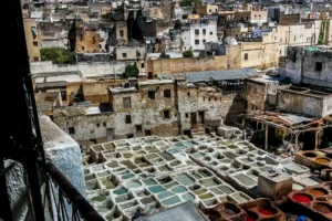 fes las curtidurías de piel