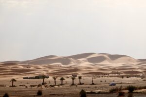 Tour al Desierto del Sahara