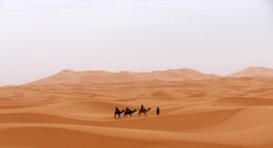 tour al desierto del sahara