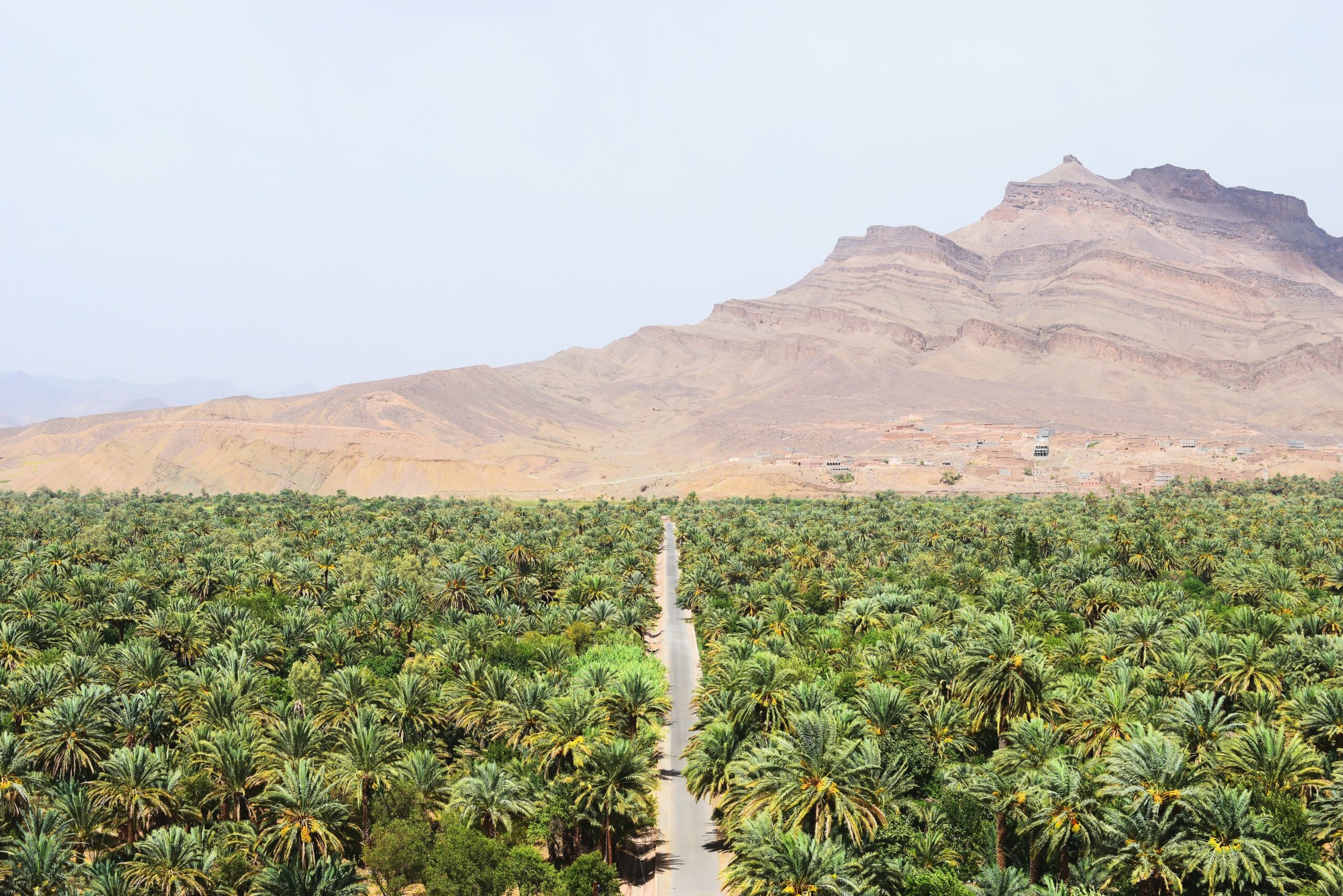tours a marruecos 4 dias