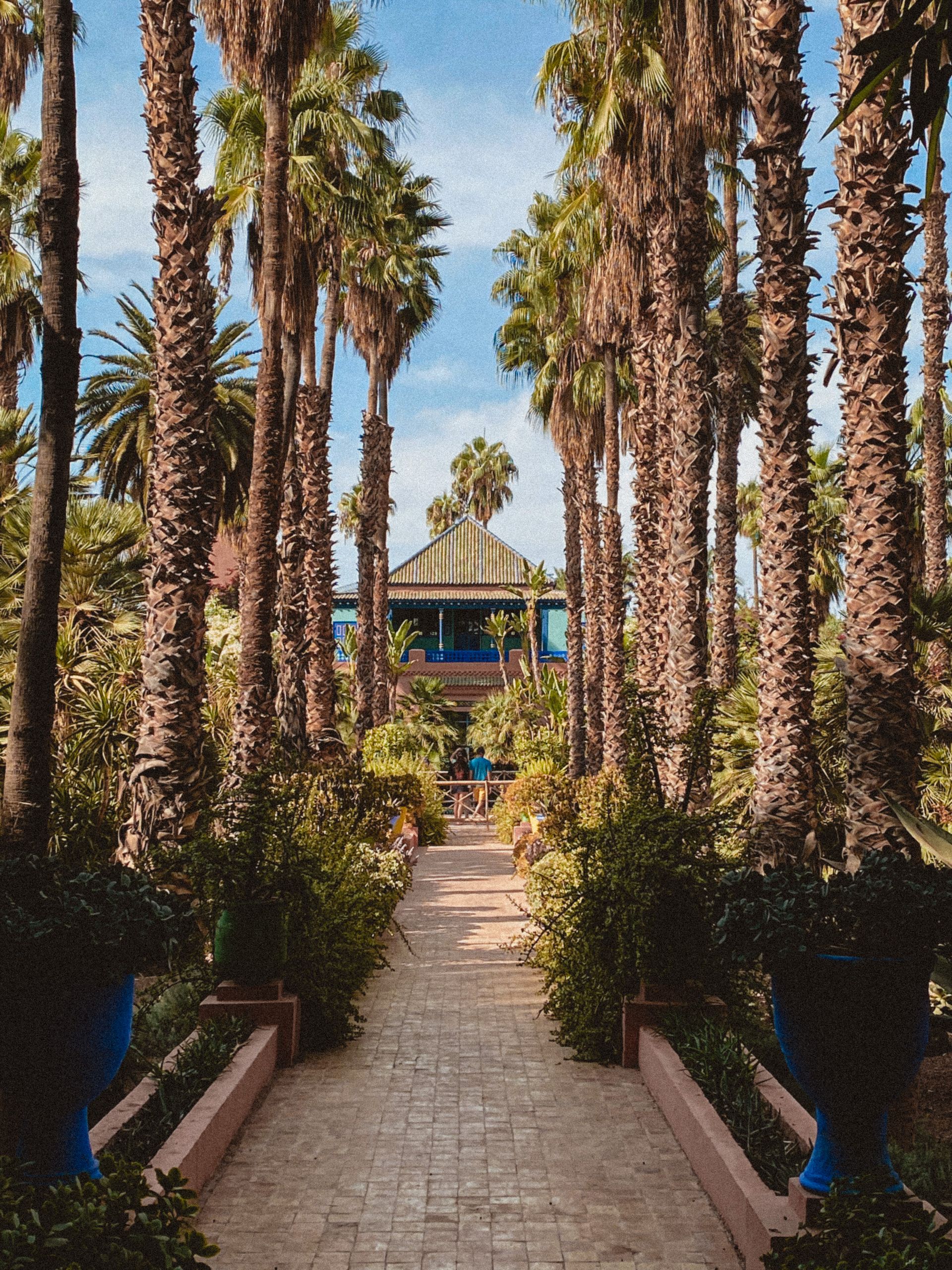 Discover the serene beauty of palm-lined walkways in a Moroccan garden.